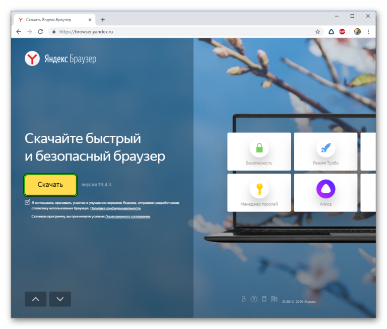 Pocket option почему не работает в браузере графики